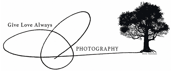 Creating beautiful images for over 20 years. 